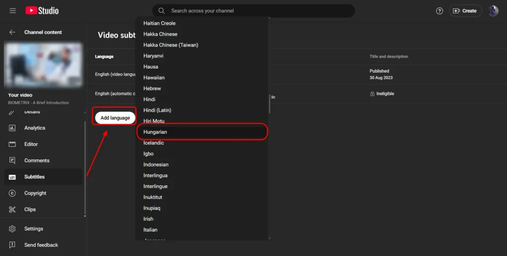 Manually Add Translated Subtitles